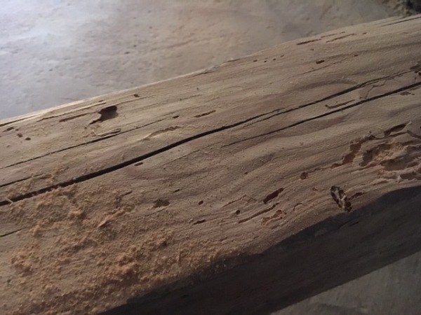 Chémia šetrenie starých trámov, Bochemit