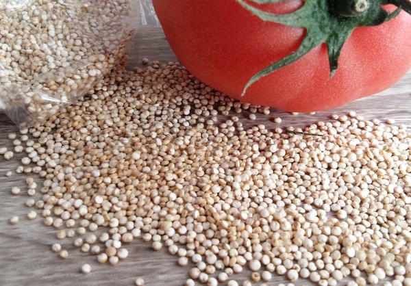 quinoa, obilnina