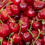 Červivé čerešne a višne: ako a čím získať ovocie bez červíkov?