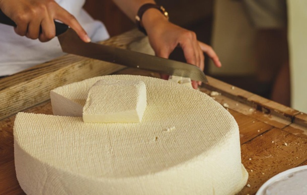 domáci mäkký biely syr a výroba