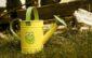 zalievanie záhrady, polievanie krhlou, kompostový čaj