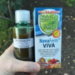 Pôdni škodcovia ako háďatká, drôtovce, pandravy a pomoc Novaferm Viva