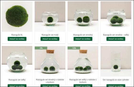 riasogule ponuka eshopu plantizia