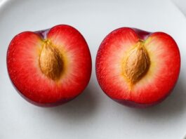 odroda marhuľo-čerešne Cherrycot APRIKYRA® – interšpecifický hybrid marhule a čerešne, zn.sk