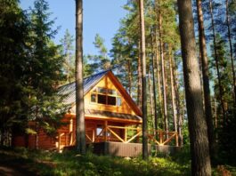 Drevostavba, ilustračná snímka, foto: S. Razvodovskij / stock.adobe.com